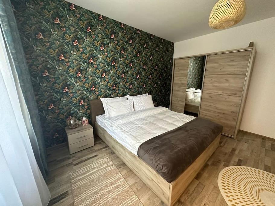 Newlevel Studio Braşov Exteriör bild