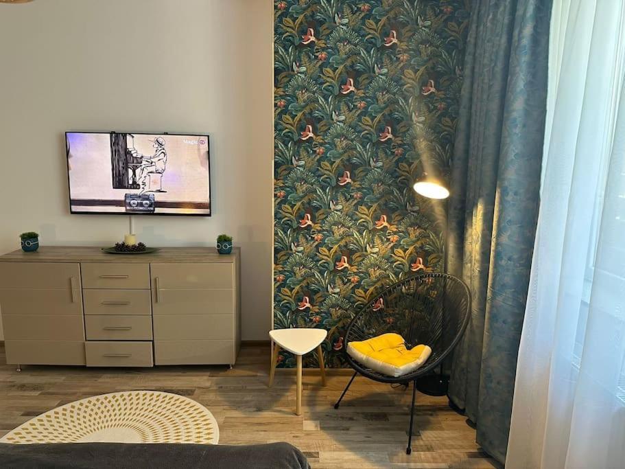 Newlevel Studio Braşov Exteriör bild
