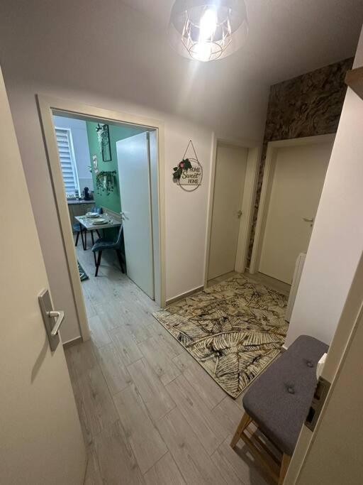 Newlevel Studio Braşov Exteriör bild