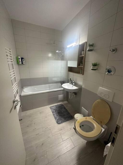 Newlevel Studio Braşov Exteriör bild